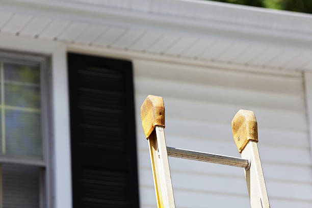 Historical Building Siding Restoration in Fresno, TX