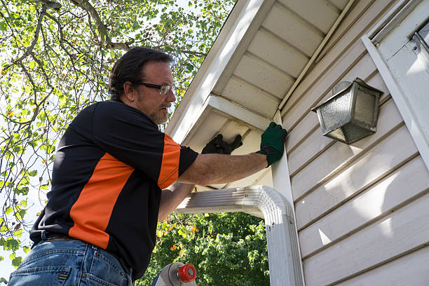 Best Storm Damage Siding Repair  in Fresno, TX